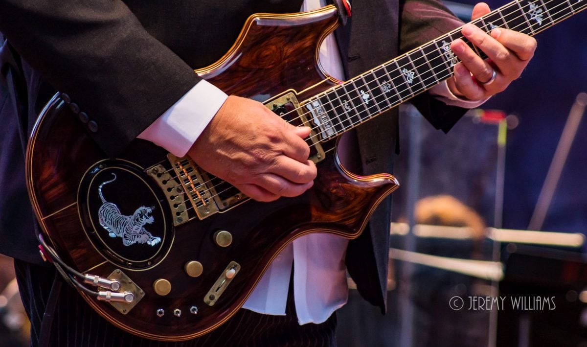 Jerry Garcia Tiger 2016