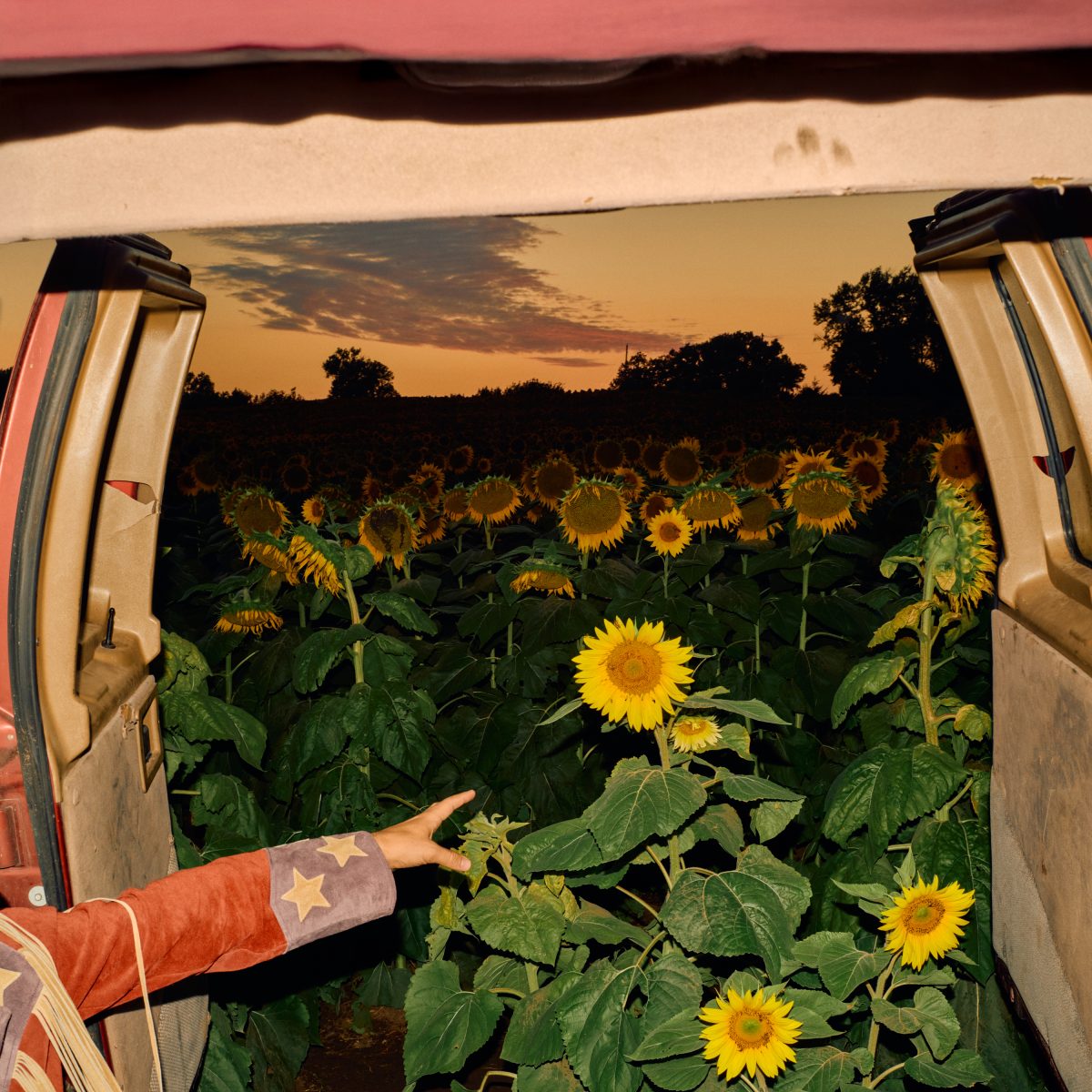 Little Wide Open Artwork (photo by Chantal Anderson) (2)