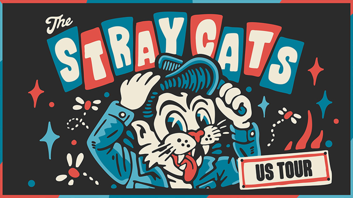 Stray Cats
