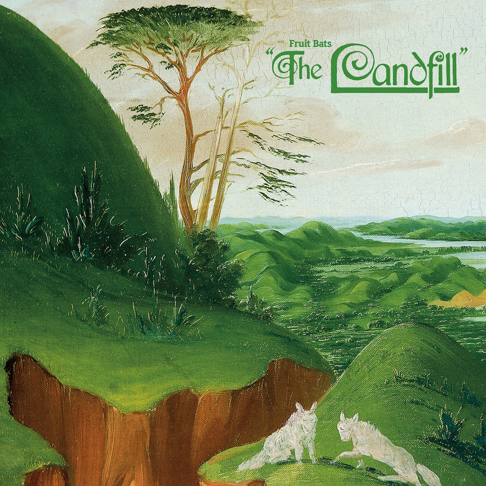 the landfill