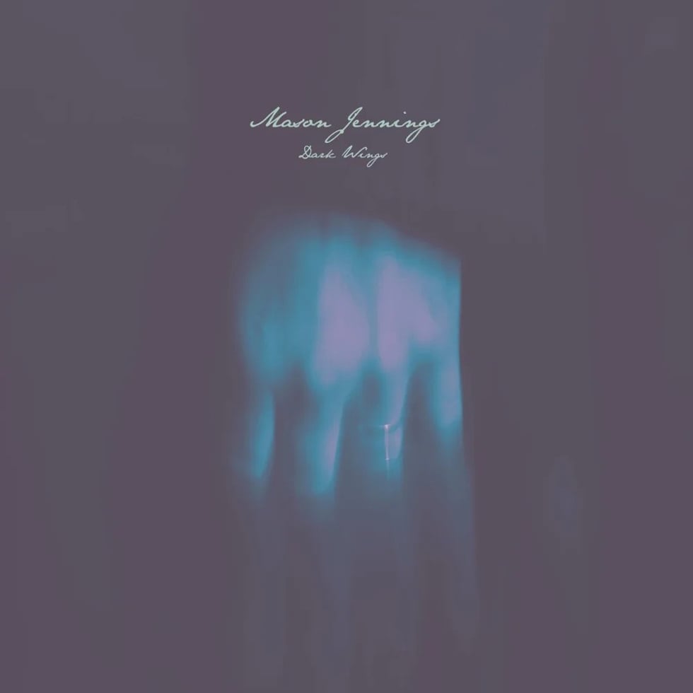 dark wings