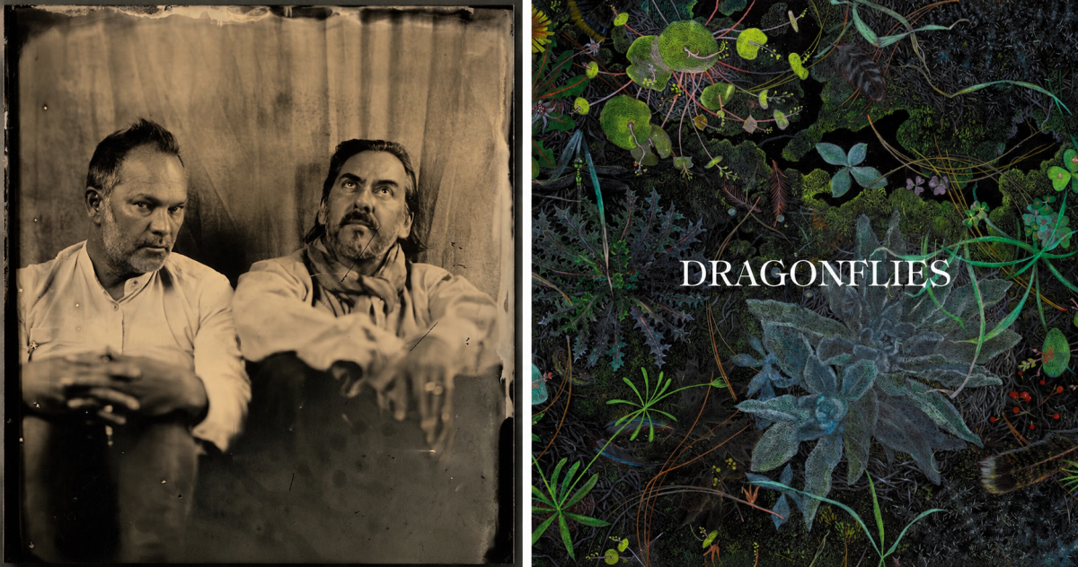 Dragonflies dhania harrison nigel godrich