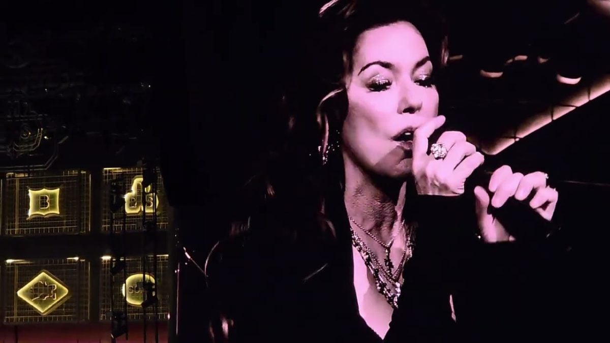 Mumford and Sons and #shaniatwain #here #hydepark #london #mumfordandsons