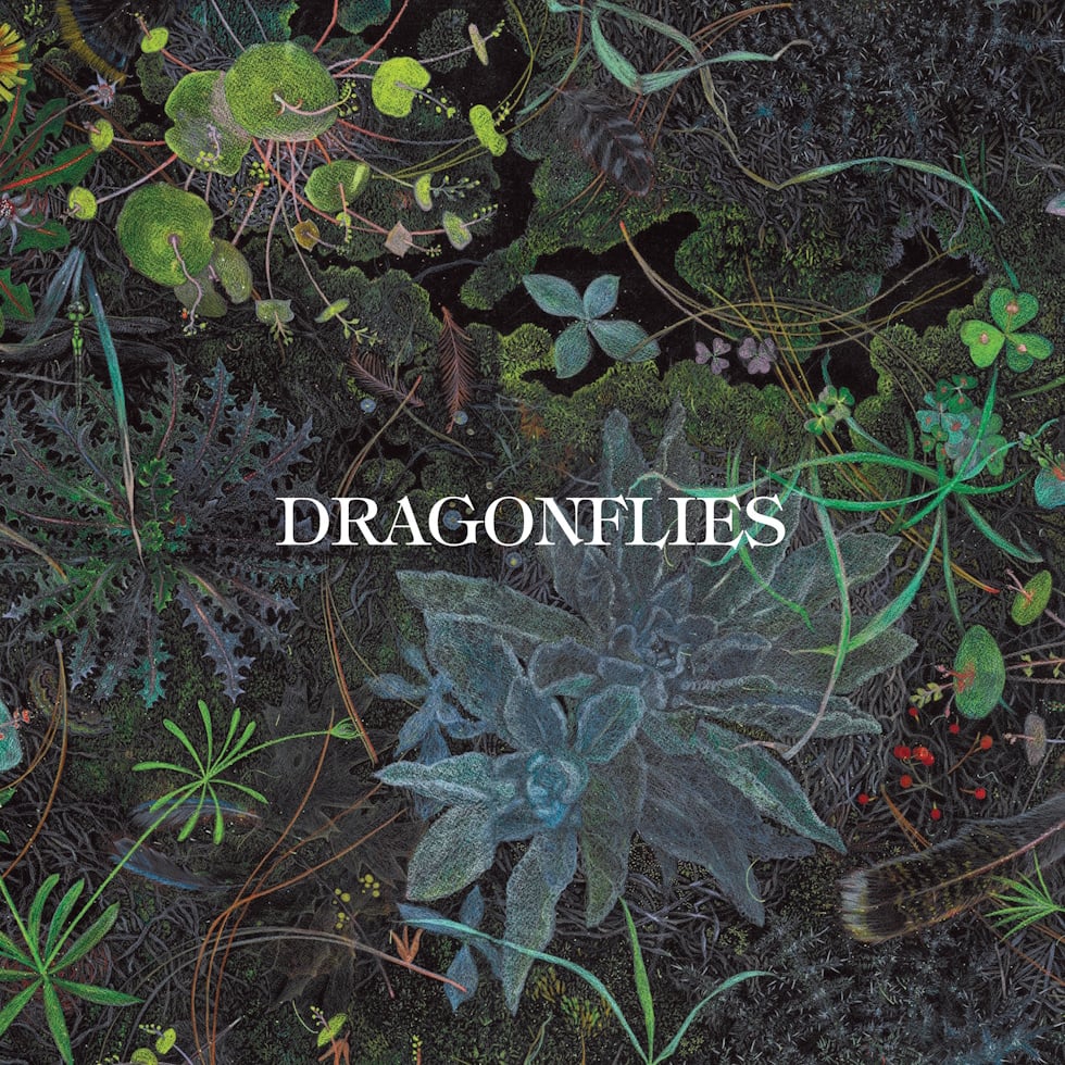 Dragonflies-DSP