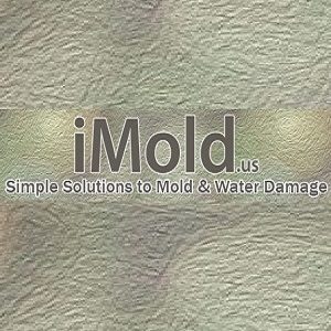 iMold US Water Damage & Mold Removal Service Cape Coral