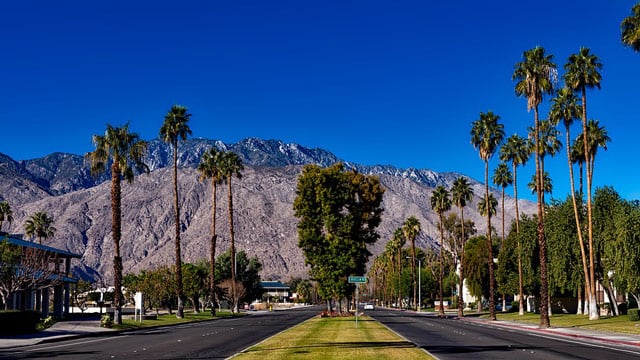 Palm Springs Area