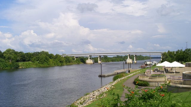 Alexandria Area